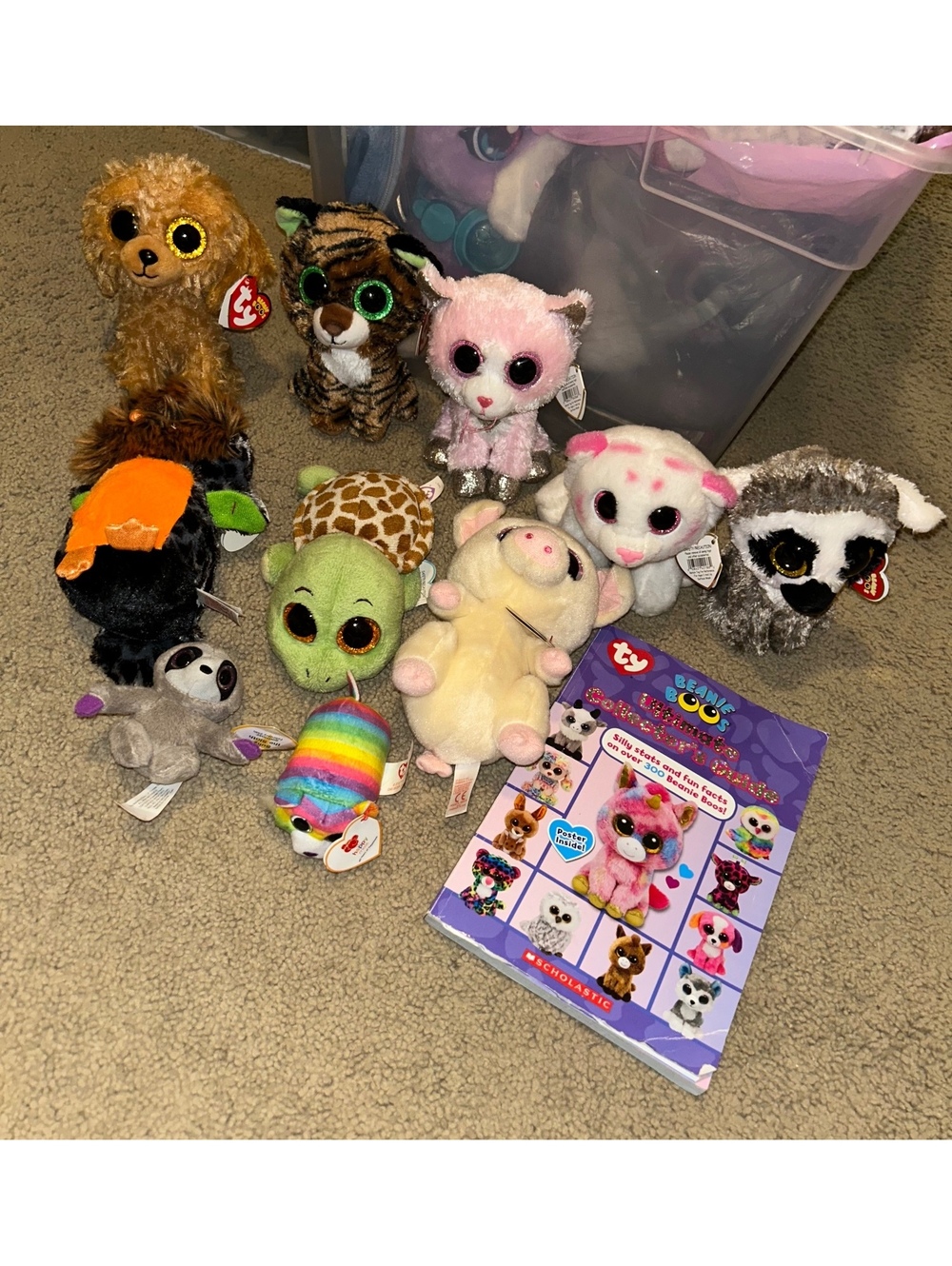 Lot of 10 beannie boo plus book